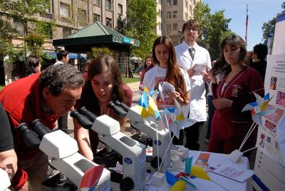 En la presente versión participaron 15 proyectos, de los cuales cinco lograron los mayores puntajes.