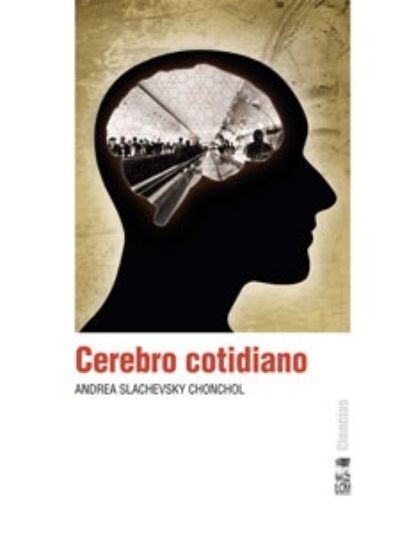 cerebro cotidiano