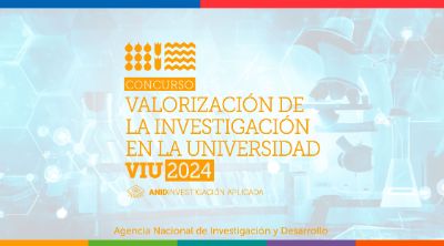 concursos/viu-2024/