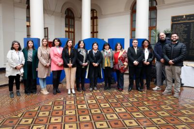 El consejo asesor para salud mental estuvo compuesto por representantes estudiantiles, representantes de la Comisión Nacional de Acreditación, y de la Comisión de Convivencia Universitaria y Salud Mental del Cruch. 