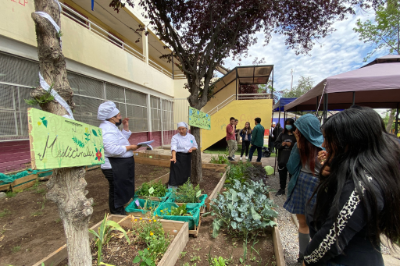 Los estudiantes de gastronomía durante el recorrido por el huerto para contar cómo se gestó el proyecto.