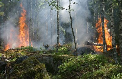 Incendios