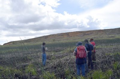 Geóloga U. de Chile cuenta cómo encontraron el moai del Rano Raraku