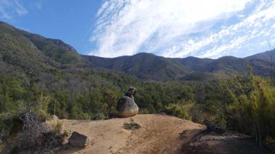 Para el egresado e investigador de la Facultad de Ciencias Forestales, la Universidad de Chile ha sido un apoyo constante en su labor. Desde su memoria de título, dedicada al arboreto de Antumapu, Gangas ha seguido ligado a la Casa de Bello por casi una década.