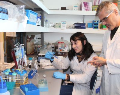 Las nanopartículas de oro que se utilizan en el proyecto fueron desarrolladas en el laboratorio del profesor Marcelo Kogan en la Universidad de Chile.