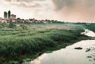 “Los humedales son vulnerables a una serie de amenazas, principalmente causadas por actividades humanas", asegura el académico del Departamento de Geografía, Alexis Velásquez.