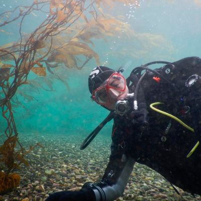 El mapeo de distribución de esta especie por parte de la geógrafa egresada de la Universidad de Chile fue el primer paso para identificar posibles amenazas en el contexto de cambio global. “Con eso logramos ver que mi modelo de mapeo funcionaba muy bien en muchos lugares y que podía ser replicado en otros lugares del mundo”, expresó.