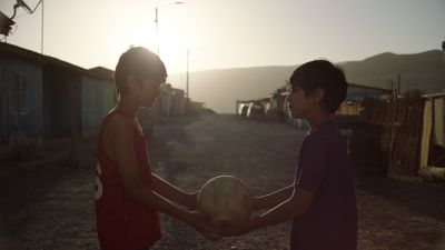 Estrellas del Desierto