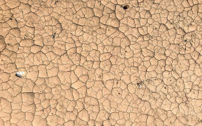 Rondanelli agrega que "ojalá que tengamos suerte y que este sea un año normal porque ha habido años normales con fenómeno de La Niña, también ha habido años normales, obviamente, con fase neutra de El Niño". 