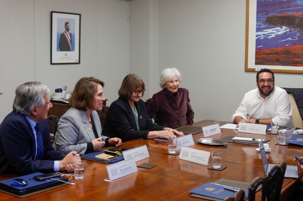 El jurado estuvo integrado por el ministro Cataldo, la Rectora Devés, el Rector Cristian del Campo, el profesor Sergio Lavandero y Patricia Stambuk.
