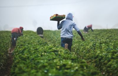 WEF-Chile tiene como objetivo comprender la recarga y conexión de aguas superficiales y subterráneas y desentrañar su relación con la producción de energía y alimentos desde una mirada sostenible, transversal y transdisciplinar. 