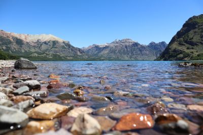 De acuerdo con la Organización de las Naciones Unidas (ONU), la actividad humana ha alterado el medio ambiente terrestre en un 75% y el marino en un 66%, provocando que más de 40 mil especies se encuentren en peligro de extinción en todo el mundo.