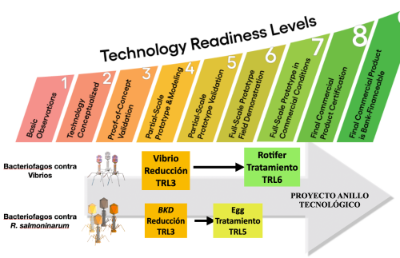 El proyecto presenta a los bacteriófagos, virus que infectan exclusivamente a las baterias, como una alternativa para prevenir estas enfermedades comunes y devastadoras para la industria acuícola.