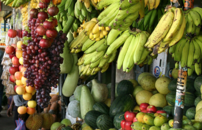 En cuanto a dieta, es fundamental mantener una alimentación balanceada, pues esta ayuda a una mejor salud cognitiva. Para esto, la caja de herramientas dispone de una serie de alimentos divididos por su costo monetario para poder armar una dieta acorde al presupuesto