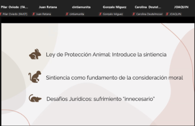 La directora de la Revista Chilena de Derecho Animal, Javiera Farga presentó “Sintiencia en la Legislación: Desafíos Éticos y Jurídicos", para conocer de qué manera ha estado presente este concepto en la actual legislación chilena.