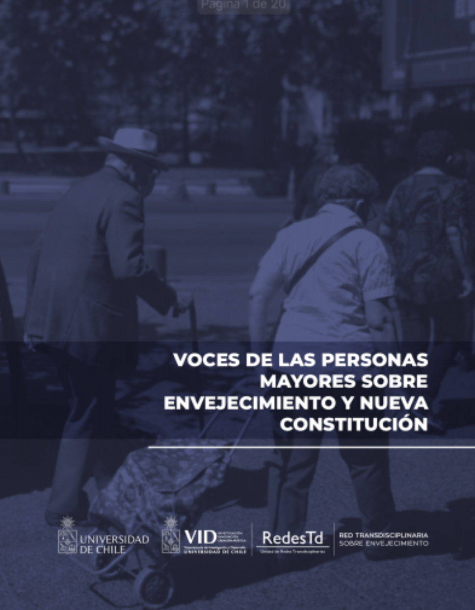 Documento "Derechos de las personas mayores en la nueva constitución: aportes desde la Universidad de Chile"