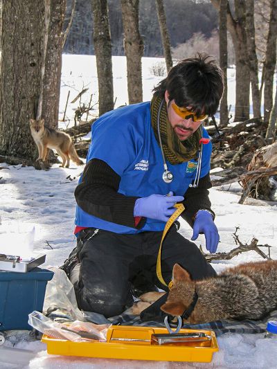 Doctorado en Ciencias Silvoagropecuarias y Veterinarias