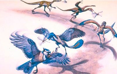 Las aves todavía comparten muchos rasgos con sus ancestros dinosaurios por lo que resultan el mejor grupo de estudio para reconstruir ciertos aspectos de la biología de los terópodos no aviares.