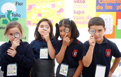 El curso está destinado a profesores de educación parvularia, básica, media y diferencial. 