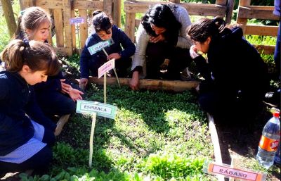 "El huerto urbano también da resiliencia a las ciudades, pues en caso de desastres naturales no sólo tienen comida en sus patios también tienen conocimiento para continuarlo", explica Lankin.