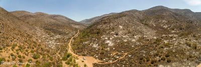 Casi el 80 por ciento de los terrenos universitarios fueron afectados por el incendio forestal del 14 de noviembre.