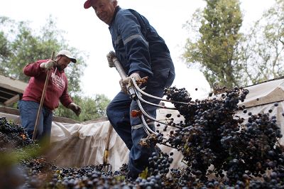 Los jóvenes pudieron ver todo el proceso de producción del licor.