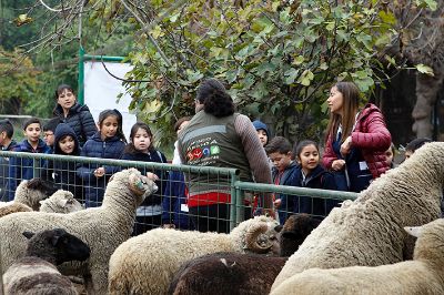 Los monitores son estudiantes capacitados de Veterinaria y Agronomía.