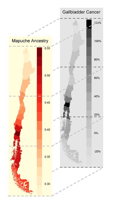 La mayoría de la población chilena tiene entre un 40 y un 50 por ciento de ancestría mapuche, componente genético que tal como se ve en la imagen, aumenta en la población del sur del país. 