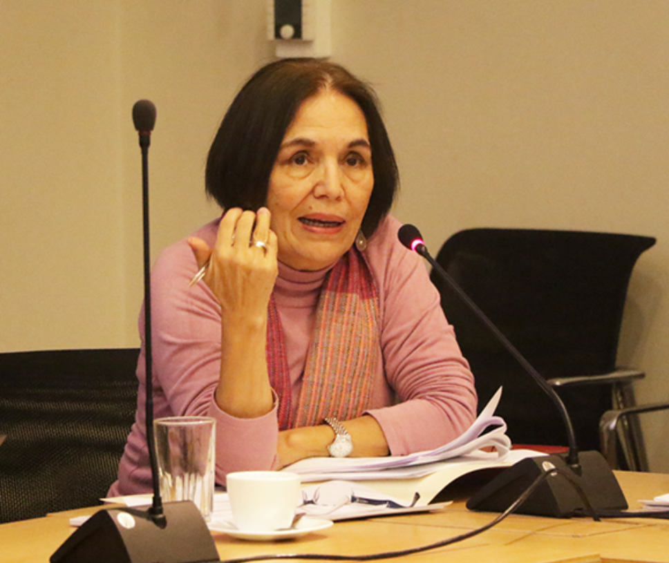 La directora de la Oficina de Oportunidades de Igualdad de Género señaló que la iniciativa "desprivatiza el cuidado de los niños", que ha sido entendido hasta hoy como una labor de las mujeres.