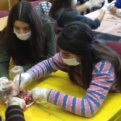 Además de clases teóricas, los talleres incluyen instancias experimentales. 