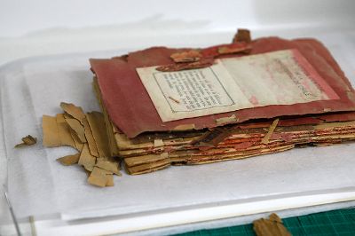 Las pasantías en el Archivo Central Andrés Bello consisten en darles la oportunidad a estudiantes universitarios de incorporarse a alguna de las áreas del Archivo y así adentrarse en su acervo.