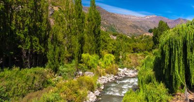 La comuna provee del recurso hídrico a extensos cultivos de las comunas de San Bernardo, Calera de Tango, Padre Hurtado, Maipú, Peñaflor, Talagante, Isla de Maipo, Buin y Paine.