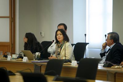 Parte del equipo de la dirección de Pregrado, encabezado por la directora Leonor Armanet, expuso los primeros resultados de este proceso ante el Consejo Universitario.