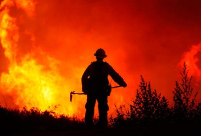 Guillermo Julio hizo hincapié en la necesidad de contar con un Servicio Forestal que pueda superar las actuales limitaciones de CONAF.