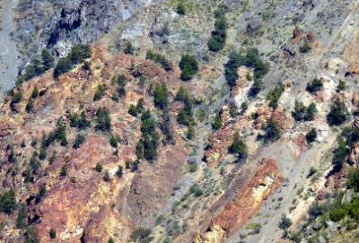 La composición de las especies y su estructura están siendo estudiadas en la Facultad de Ciencias Forestales y de la Conservación de la  Naturaleza. 