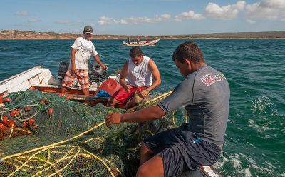 El consumo de pescado en Chile va entre los 7 y 10 kilos por persona al año, cuando el promedio mundial es de 20.