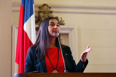 "Hay algo en el sistema que tenemos que resolver", advirtió la presidenta del Colegio Médico Izkia Siches.