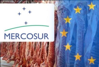 El Mercosur está compuesto por Argentina, Brasil, Paraguay y Uruguay, siendo uno de los principales productores de carne bovina a nivel mundial.