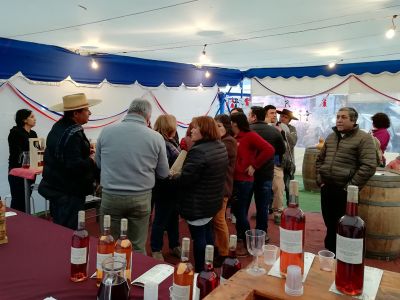 Los productores de chacolí, fueron acogidos en una carpa de honor junto al escenario principal de la Fiesta.