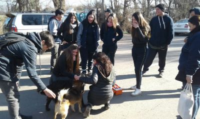 Paula Bravo, médico veterinaria, se encuentra trabajando con estudiantes del proyecto "Aperrados" del Liceo Ciudad de Brasilia