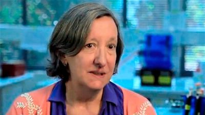 La profesora de la FCFM, Barbara Andrews, lideró esta iniciativa que traspasa el área de la microbiología y tiene como propósito presentar una mirada más amplia sobre este complejo ecosistema.