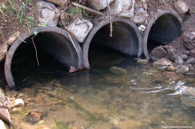 La diversidad de virus en aguas residuales y en áreas contaminadas por ellas, se correlaciona en varios casos con virus gastrointestinales que circulan en la población, señala el profesor Gaggero.