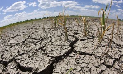 Más de 60 millones de hectáreas están bajo algún tipo de riesgo en nuestro país.