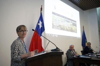 "Para enfrentar grandes desafíos globales necesitamos trabajar en alianzas globales de manera interdisciplinaria", comentó la vicerrectora Hillbur.