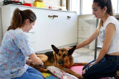 La Red de Atención Veterinaria de la Universidad, con sedes en La Pintana y Providencia, ofrece 20 por ciento de descuento a estudiantes y funcionarios.