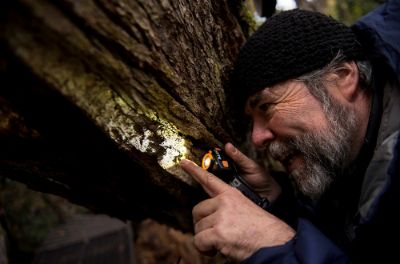 El investigador del IEB es el primer chileno y latinoamericano en recibir el Premio Eugene P. Odum de Educación en Ecología que entrega la Sociedad Ecológica Americana. 