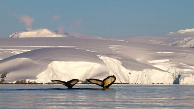 El legado en educación, investigación y conservación en el extremo sur de Chile, son puntos destacados en la trayectoria del investigador. 