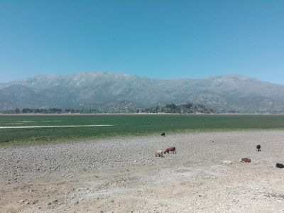 La desaparición del espejo de agua de La Laguna Aculeo se explica principalmente porque las precipitaciones de la última década (2010-2018).