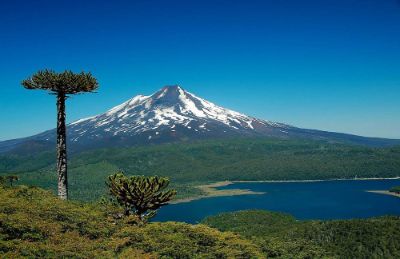 Diez son los Parques Nacionales incluidos en el cronograma del gobierno para licitar concesiones en su interior o alrededores.