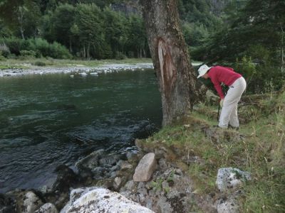 La profesora Carú es una de las pioneras de la ecología microbiana en Chile, investigando las interacciones simbióticas, la biogeografía de microorganismos y las invasiones biológicas.